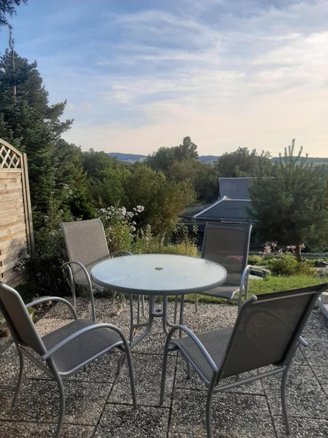 Haus Mit Ausblick Wilkau-Hasslau